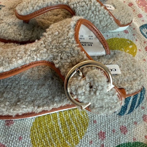 Coach - Picture 3 of 5